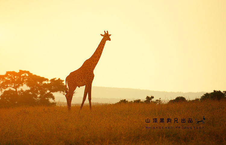 馬賽馬拉：它不是一個(gè)國(guó)家公園