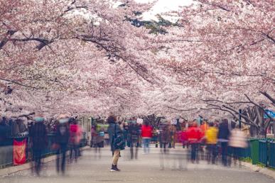 景點(diǎn)：青島中山公園