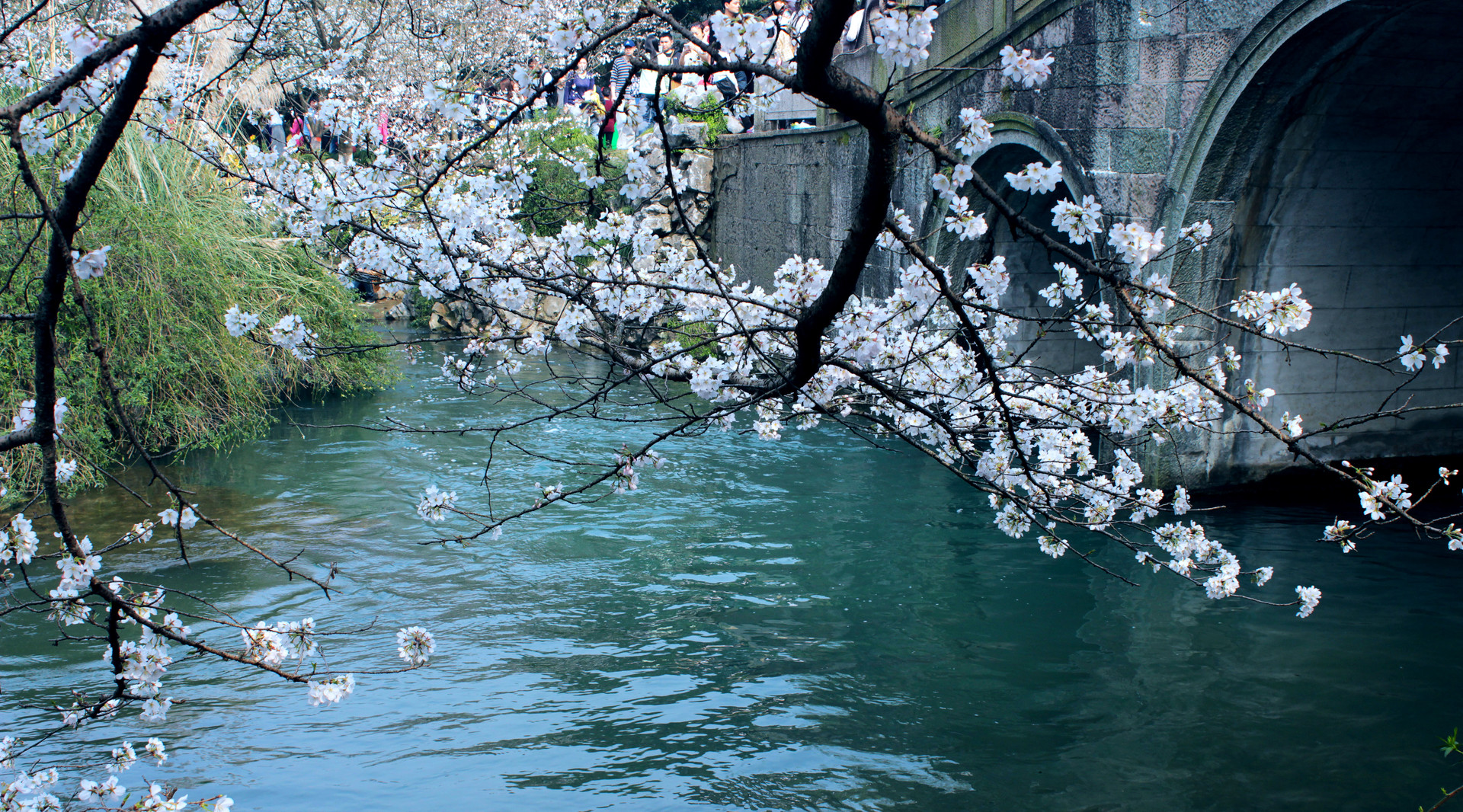 太子灣公園封面圖