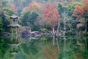 野趣溝封面圖