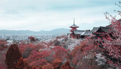 景點：京都