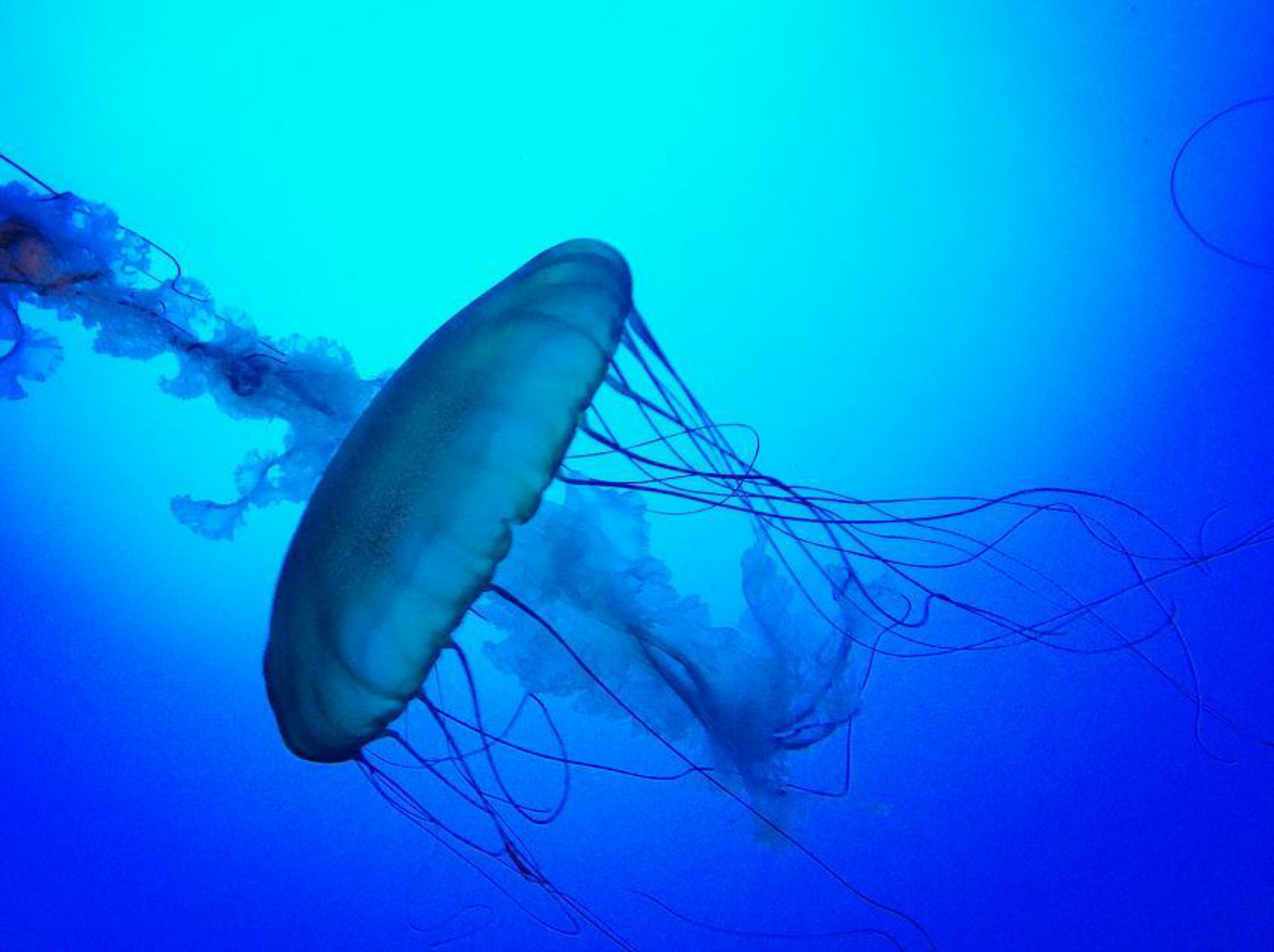 海洋館封面圖