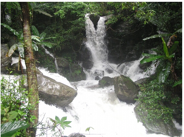 野趣溝風(fēng)景區(qū)封面圖