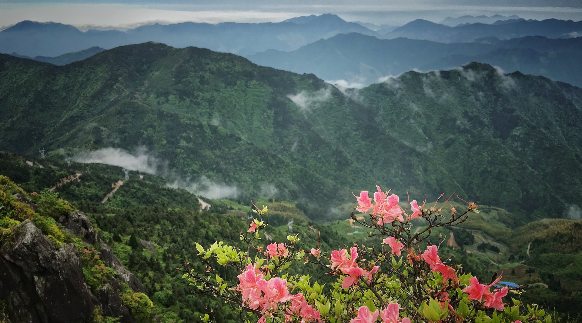 杜鵑山封面圖