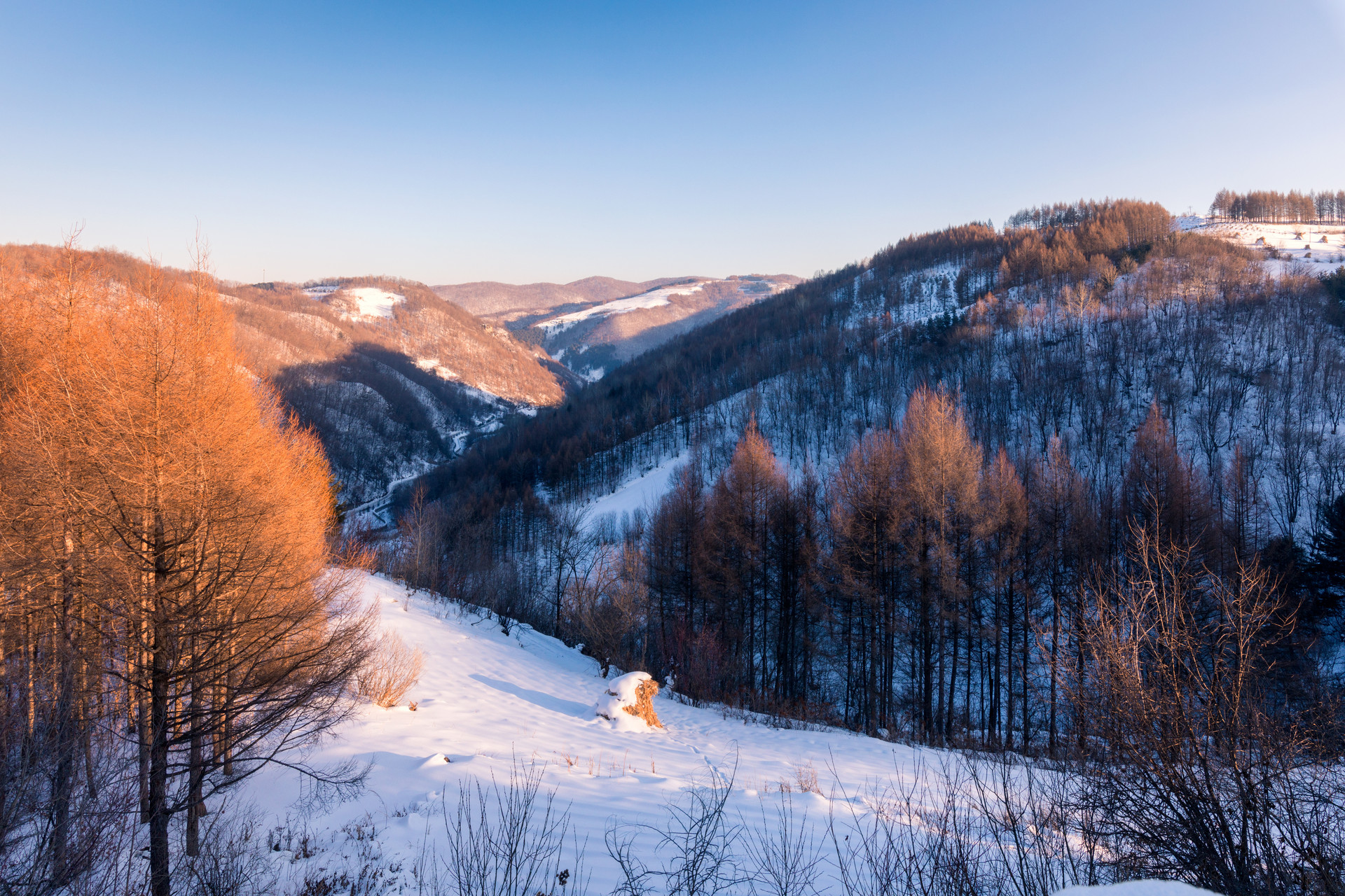 林海雪原封面圖