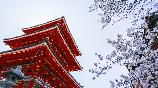 暑期【和風(fēng)經(jīng)典】<本州三古都の東京富士山大阪京都奈良鐮倉6天>深圳航空深圳往返直飛