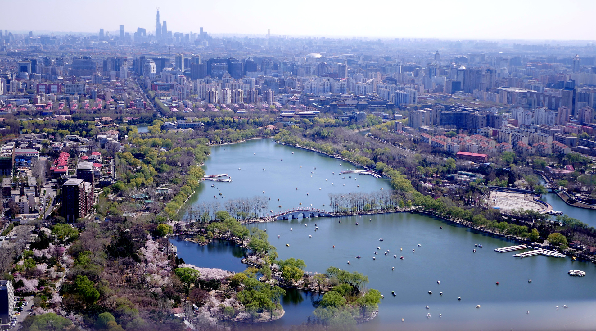 玉淵潭公園封面圖