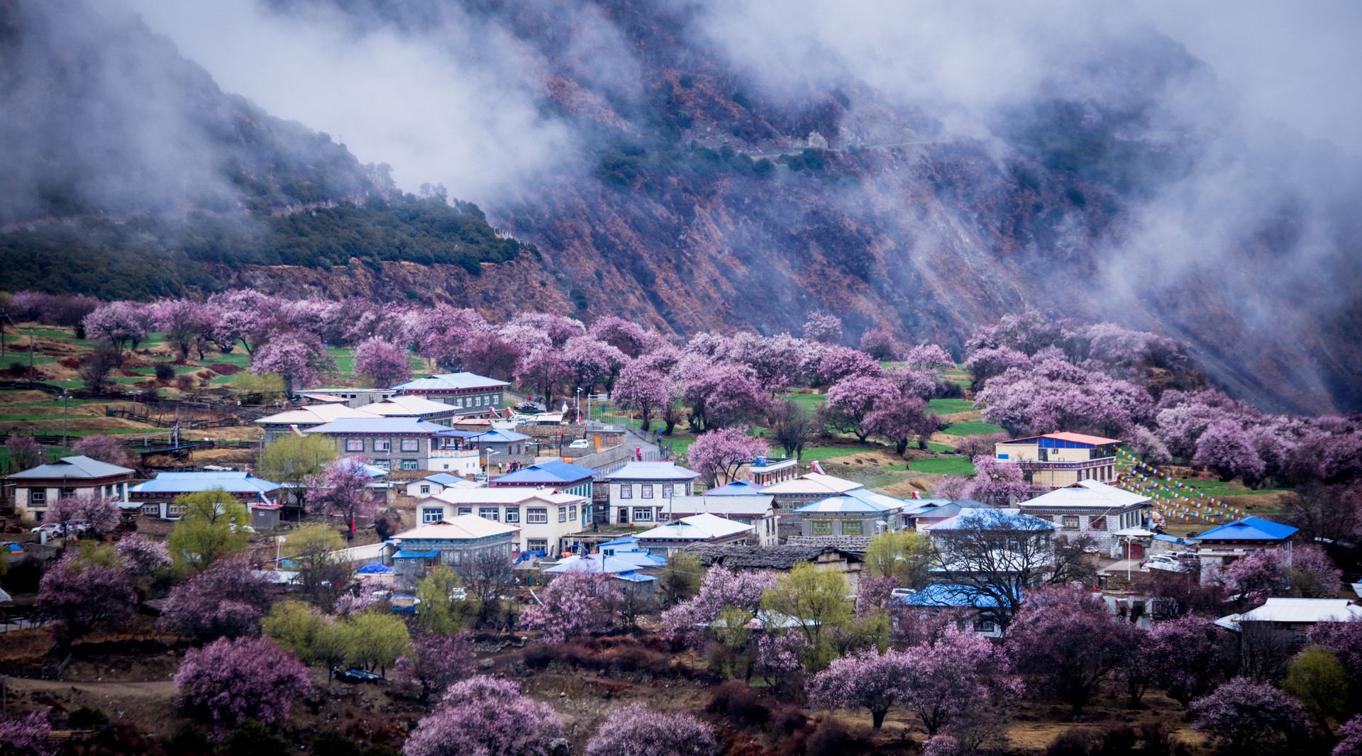 林芝封面圖