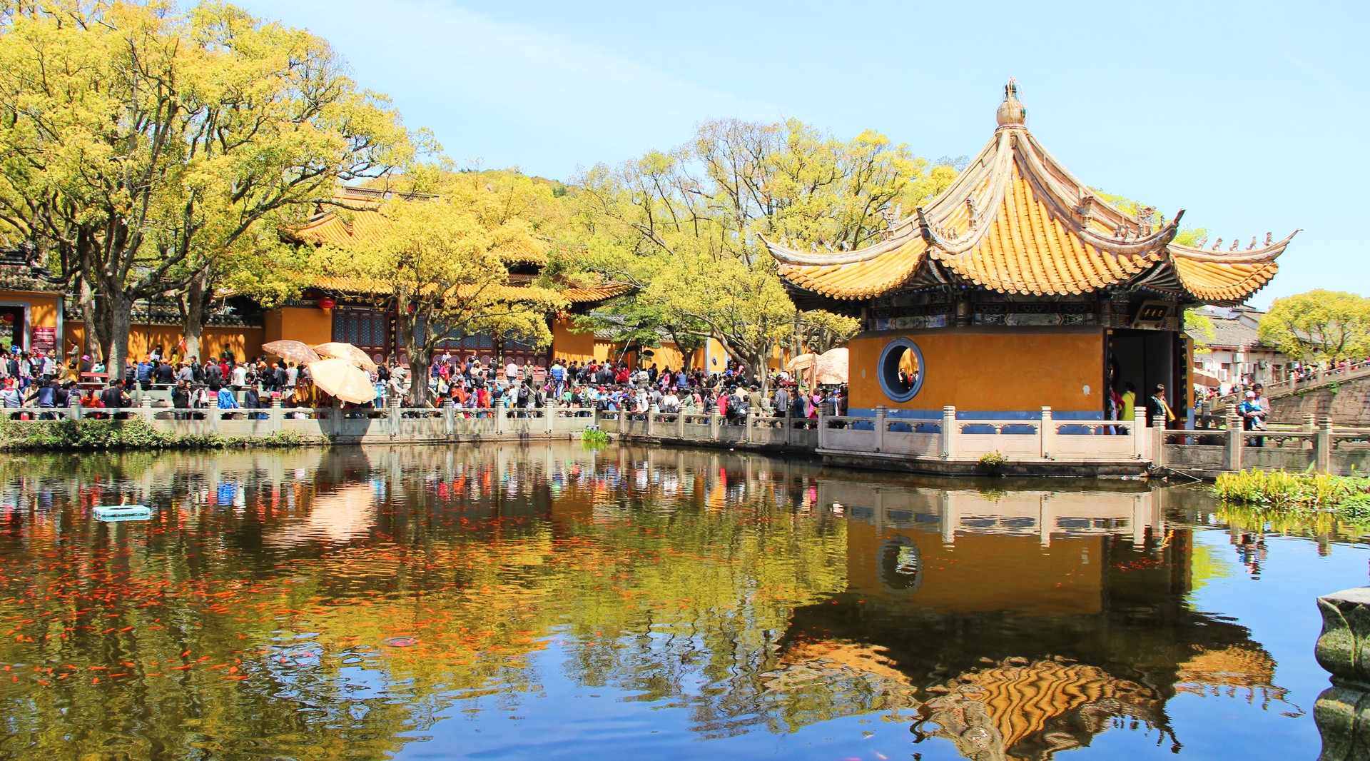 舟山普濟寺封面圖