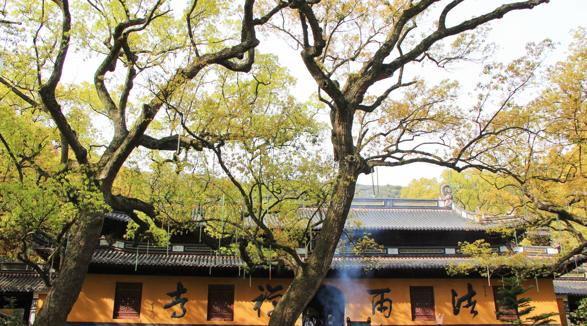 舟山法雨寺封面圖