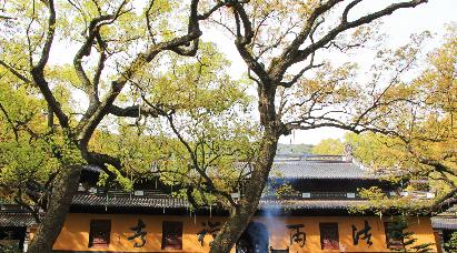 景點：舟山法雨寺