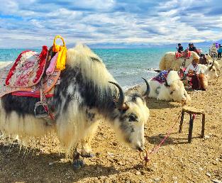 青海湖日出相關(guān)旅游線(xiàn)路