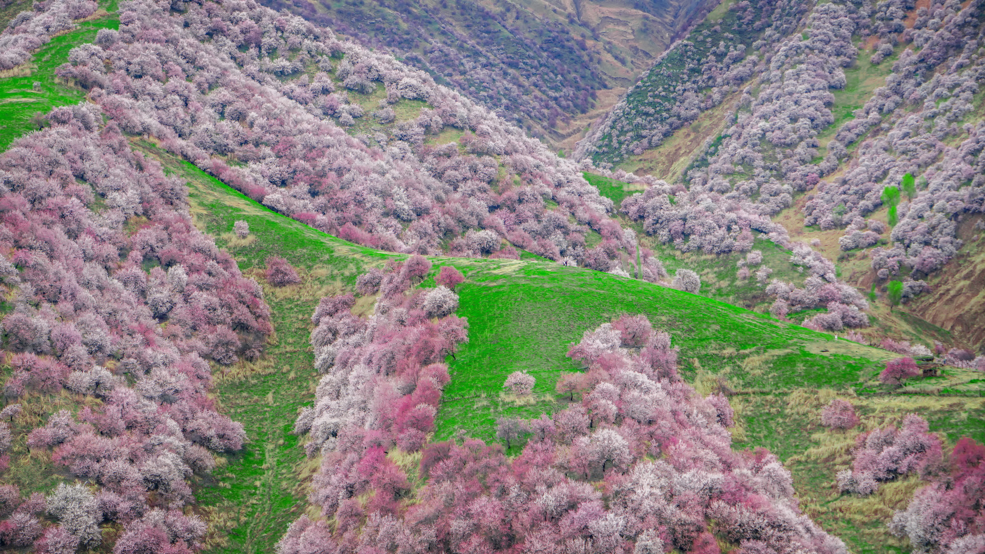 景點(diǎn)封面圖