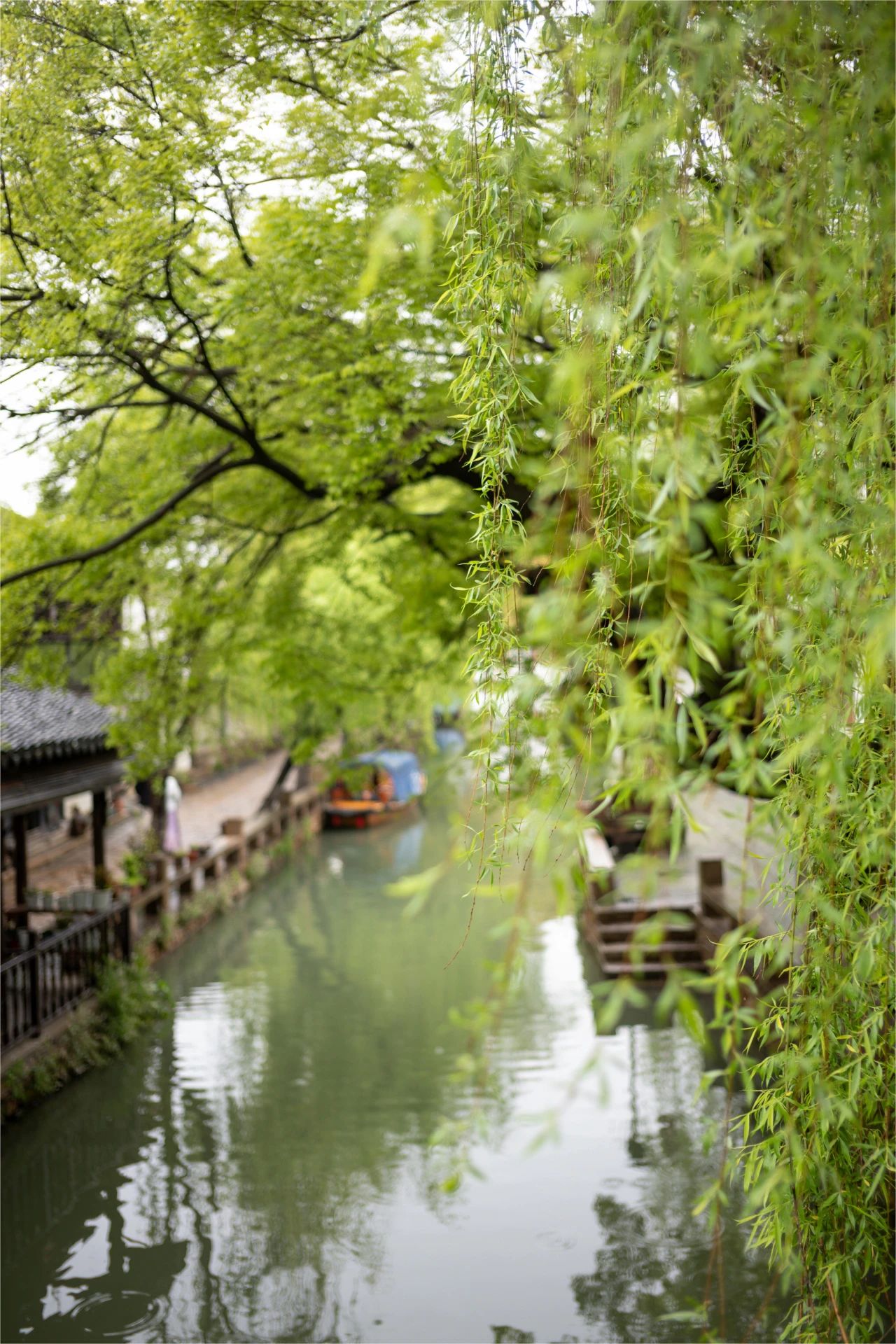 周莊古鎮(zhèn)封面圖