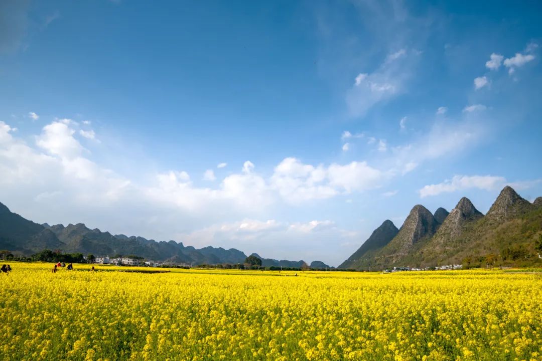 萬峰林封面圖